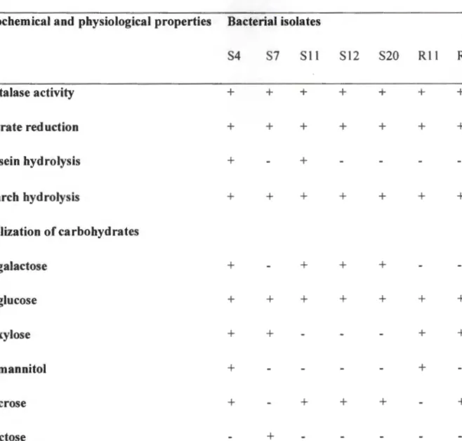 Table 2.3:  Physiological and biochemical  properties of  bacterial  isolates  Biochemical and  physiological properties  Bacterial isolates 