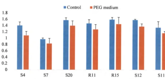 Figure 2.1:  Effect of  PEG 8000 on bacterial growth 