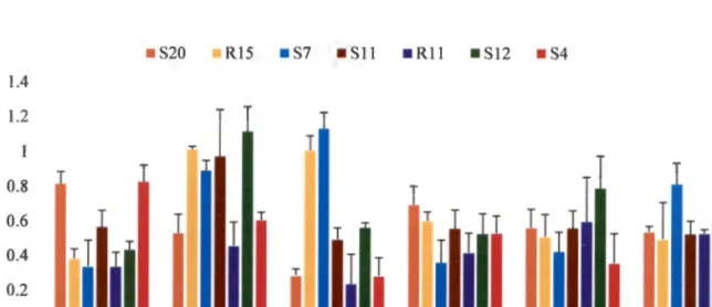 Figure 2.4:  Effect ofNaCI concentration on Bacterial growth 