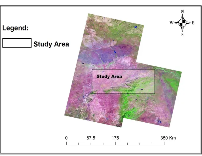 Figure A-3.1: Mosaicked image of the study area. 
