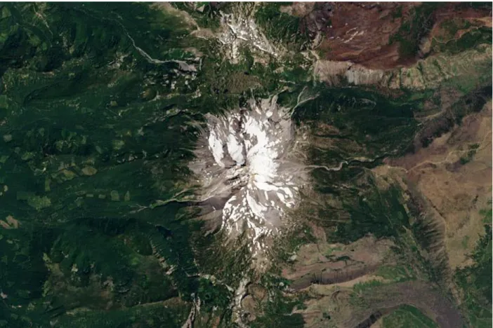 Figure 2.2: True-color composite satellite image (Adapted from: NASA Earth Observatory,  2013)