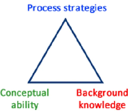 Fig 2.1.The schema model of reading (Bilokcuoglu 2014) 