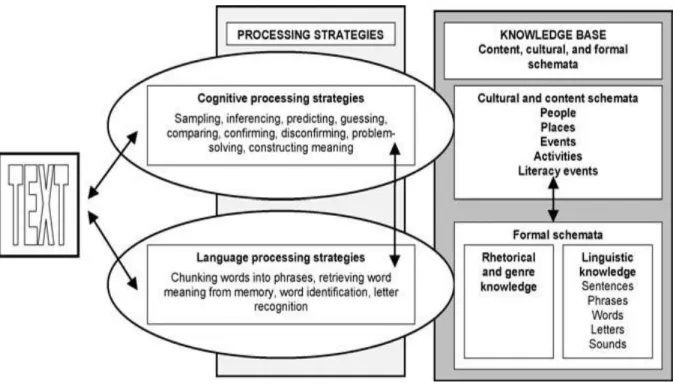 FIGURE 2.7 Schematic View of Reading Processes. Adapted from Birch (2007, p. 