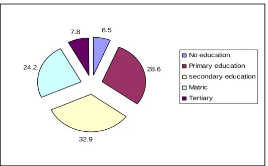 Figure 6 Highest level of education, migrant workers in KwaZulu-Natal 