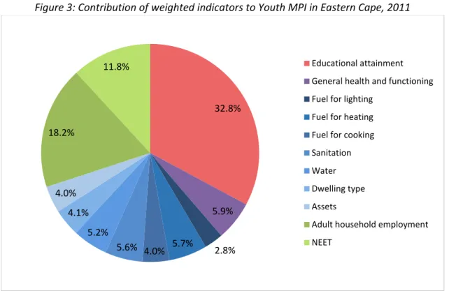 Figure 3: Contribution of weighted indicators to Youth MPI in Eastern Cape, 2011 