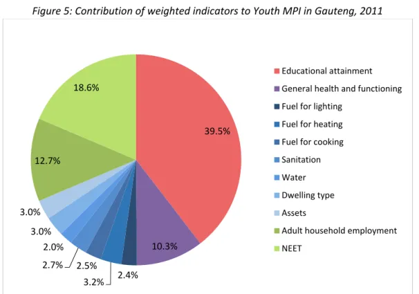 Figure 5: Contribution of weighted indicators to Youth MPI in Gauteng, 2011 