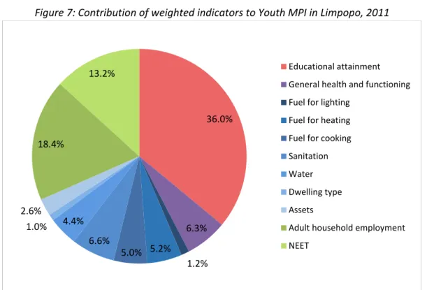 Figure 7: Contribution of weighted indicators to Youth MPI in Limpopo, 2011 