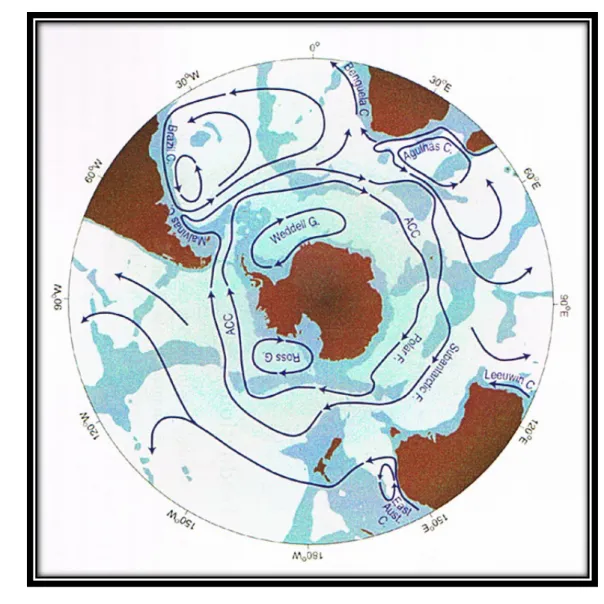Figure 1:  The Southern Hemisphere showing major land-masses and ocean  currents (Rintoul et al, 2001)