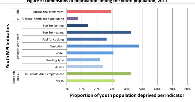 Figure 5: Dimensions of deprivation among the youth population, 2011 
