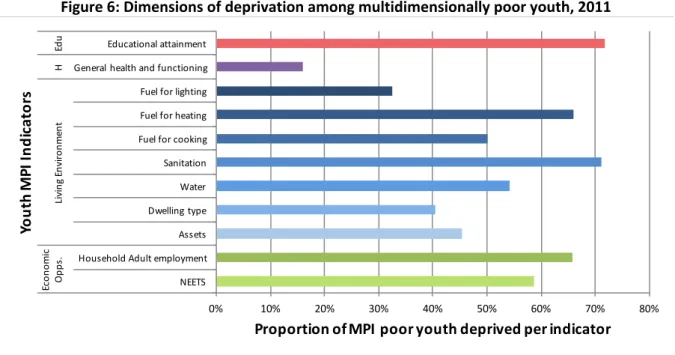 Figure 6: Dimensions of deprivation among multidimensionally poor youth, 2011 
