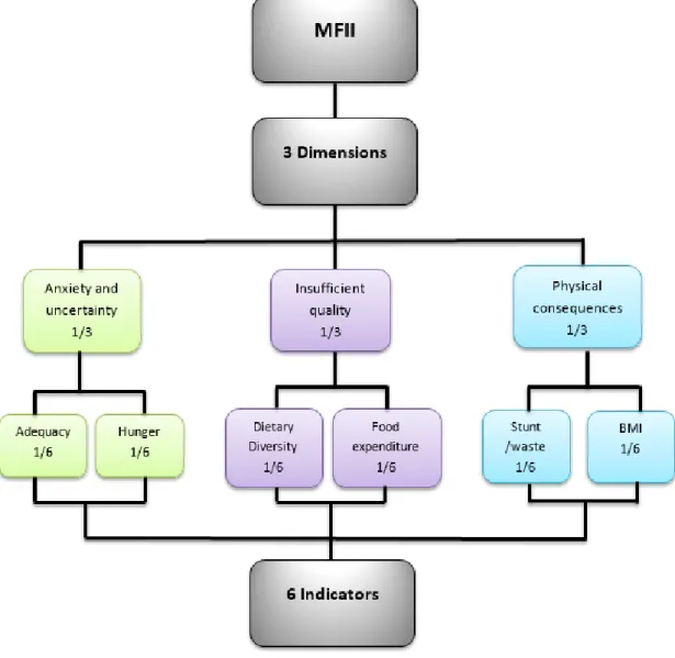 Figure 1: Structure of the Multidimensional Food Insecurity Index 