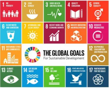 Figure 1: Sustainable Development Goals