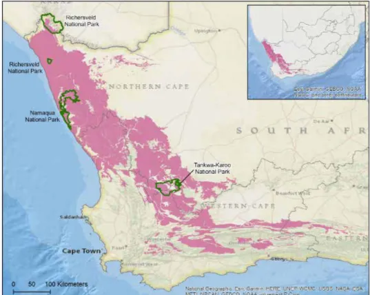 Figure 2.  A map of the Succulent Karoo Biome. Map produced by Sediqa Khatieb.