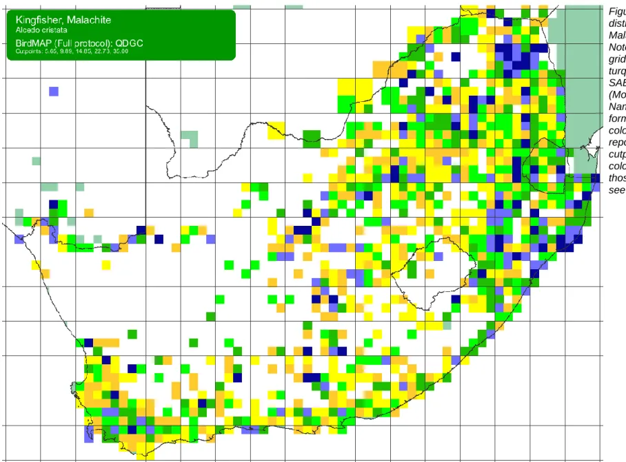 Figure 14. SABAP1  distribution map for the  Malachite Kingfisher. 