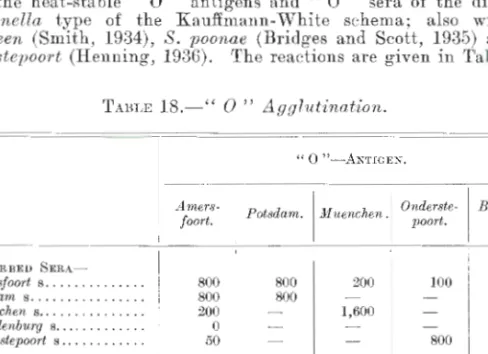 TABLE  18.- "   0" Agglutination. 
