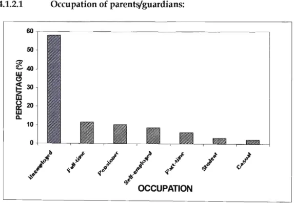 Figure 7:  Occupation Of Adults Interviewed (N =129) 