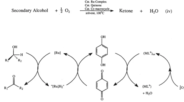 Figure 1.2.1. Aerobic triple catalytic system for the oxidation of alcohols [27,28].