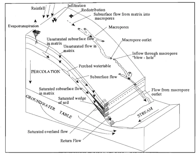 Figure 2.2 Flow routes of different hillslope processes (after Esprey, 1997)