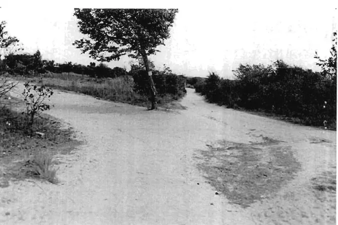 Figure 3.2 :  A typical  stale  or  onc  o r  Z'Hllb ia "s mml roads in  Cenlral  Provi nce 