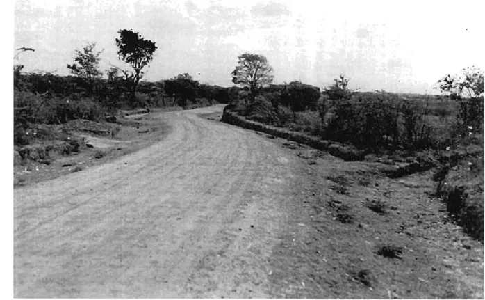 Figure 3.6:  A Labour-based conslmclcd road  in Kasisi-Ngwercrc.  21mbia  (1999) 
