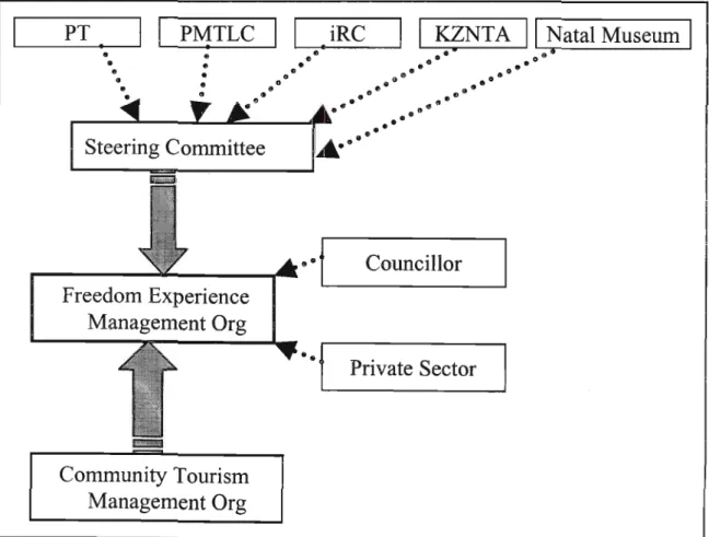 Figure 4.5 - Establishing a Freedom Experience Management Organization