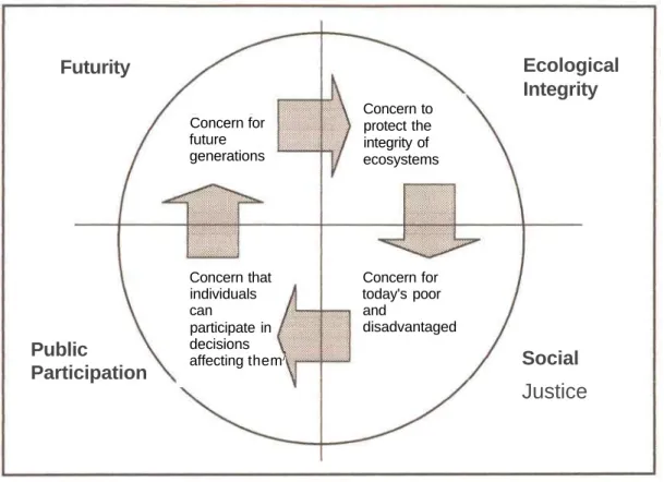 Fig: 1.1: The Principles underlying Sustainable Development (adapted Oelofse, 1998):