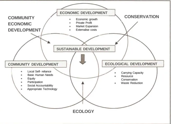 Fig. 1.2: The Sustainable Development Challenge (Oelofse, 1998).