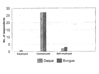 Figure 5-6: Working status and number of the households interviewed