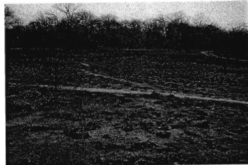 Figure 5-10: Destruction of the forest by local people