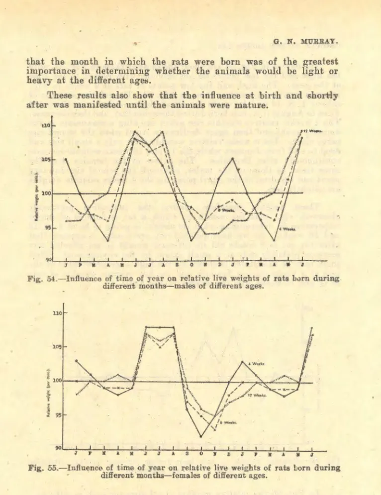 Fig.  54.-Infiuence  of  time  of  year  on  relative  live  w~ights  of  rats burn  during  different  months-males of  different ages