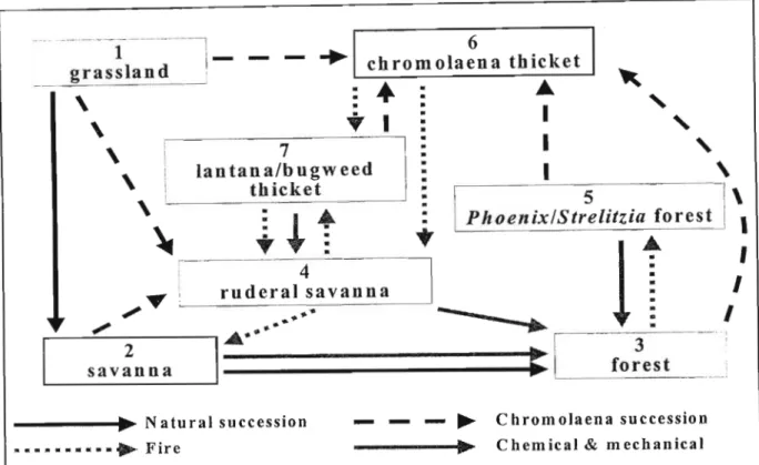 Figure 7.3: State-and-transition diagram (sensu Westoby et al. 1989) for coastal