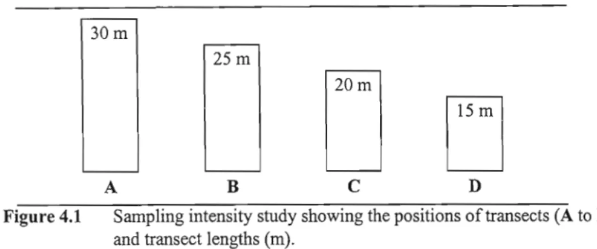 Figure 4.1 Sampling intensity study showing the positions oftransects (A to D) and transect lengths (m).