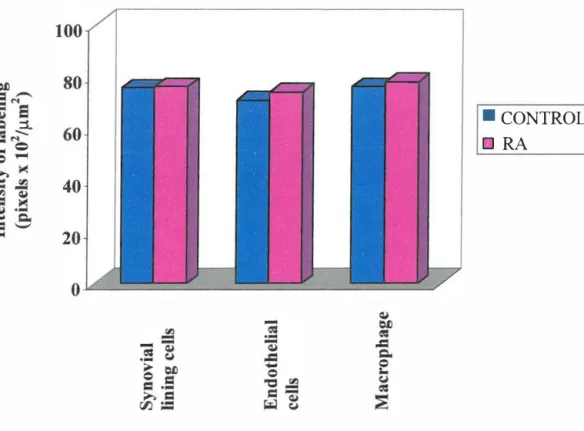 Table 3.2  Intensity of labeling for tissue kallikrein in synovial tissue 