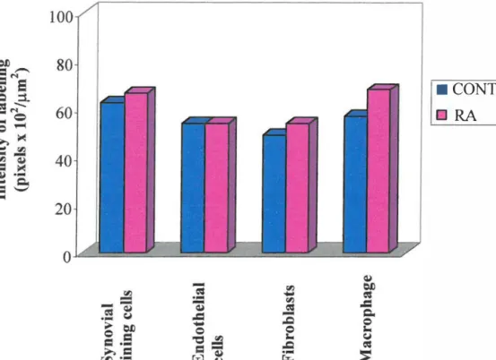 Figure 3.8  Histogram of kin in Bl receptor labeling on synovial tissue 