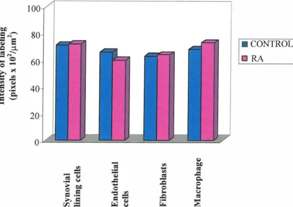Figure 3.11  Histogram of kin in B2 receptor labeling on synovial tissue 