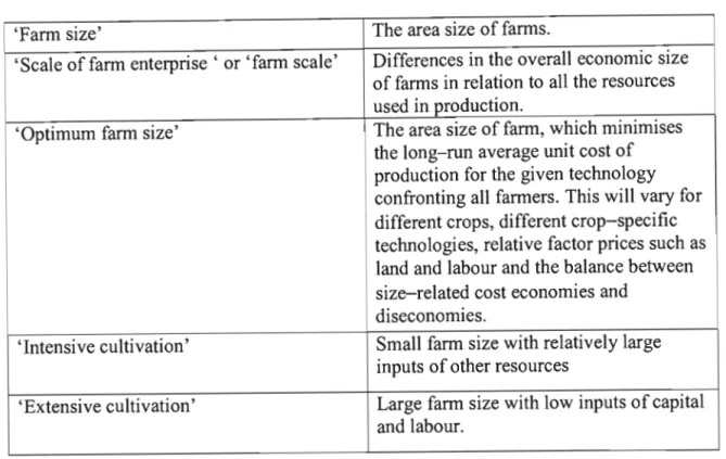 Table 3.1:  Definition of terms- farm-size debate 
