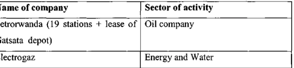Table 2.7: Energy Sector 
