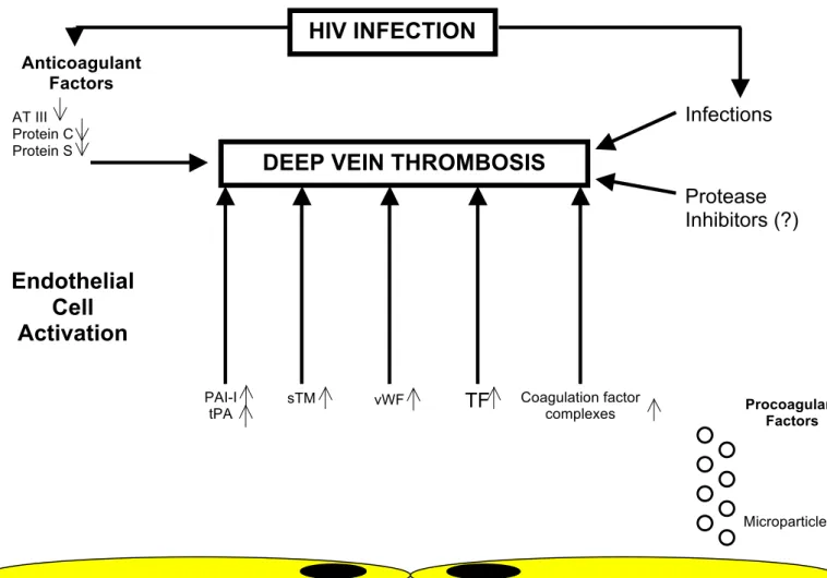 Figure 1: Predisposing Factors for thrombosis in HIV-infected patients 