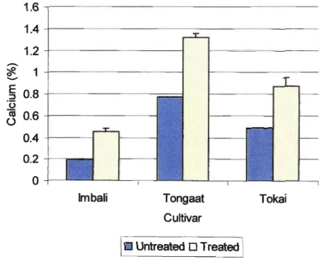 Figure 2.4. Efficacy of calcium uptake when bean seeds were primed with 100mM Ca(NOah