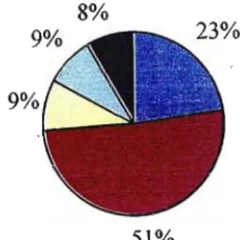 Figure 4: 'Racial ' decomposition of Respondents