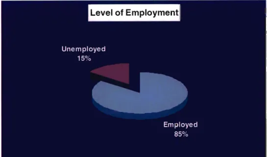 Figure 4.4 Sample Segmentation by Level Of Employment.