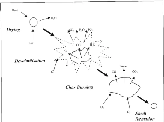 Figure 2 - 4: Spent Liquor Conversion (Grace et aI., 1986)