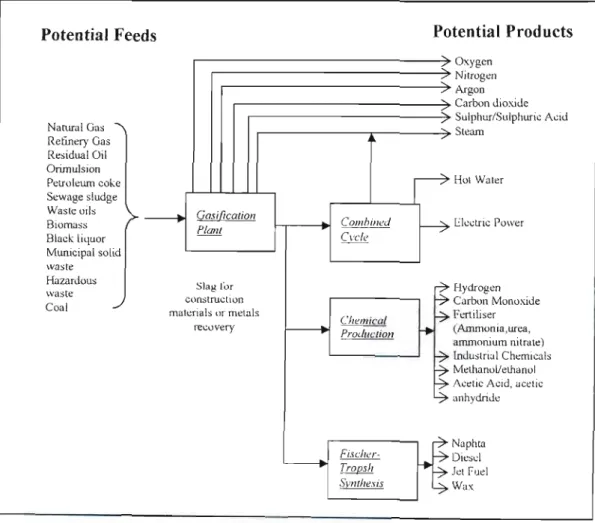 Figure 2 - 6: Potential Feeds and Products (Phillips, 2002)