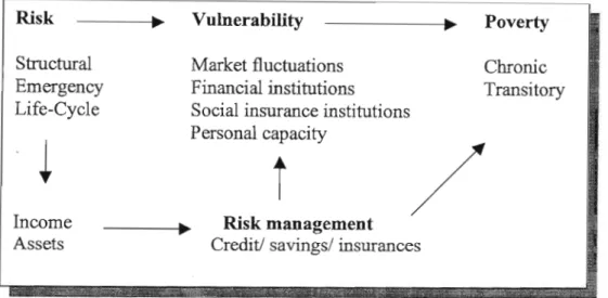 Figure 1.1 is an illustration of the background problem and shows the relation between risks, vulnerability, poverty and financial institutions