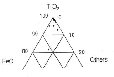 Fig. 6.1.1.1 Ternary plotof Ti02, FeD and other oxides for rutile grains from the 