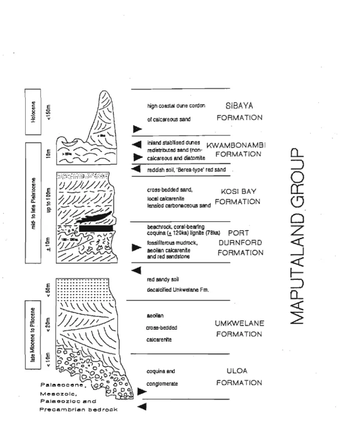 Fig. 2.5.1 Revised stratigraphy of the Zululand coastal Plain after the Cainozoic Task Group (after Botha, 1987).