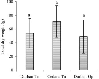 Figure 3.1:  Total biomass of C. odorata plants grown in the tunnel at Cedara and in Durban  (same letters indicate no significant difference and bars represent mean + 1 S.E.)
