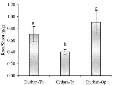 Figure 3.3:  Root/Shoot ratio of plants grown in the tunnel at Cedara and in  