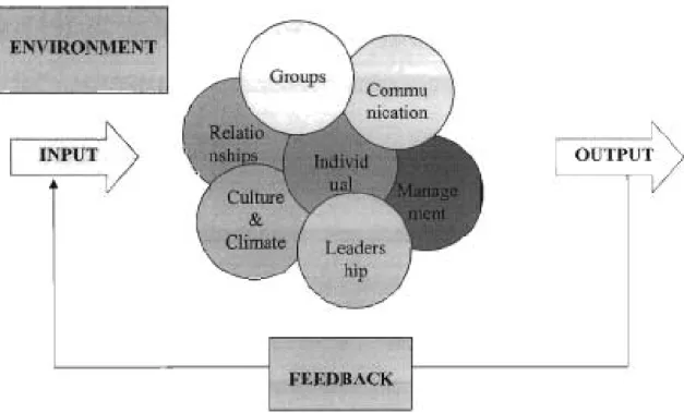 FIGURE 2.1: A MODEL FOR HUMAN ORGANISATIONAL BEHAVIOUR (Source: Misselhorn, H, 2005, Understanding and managing your organization)