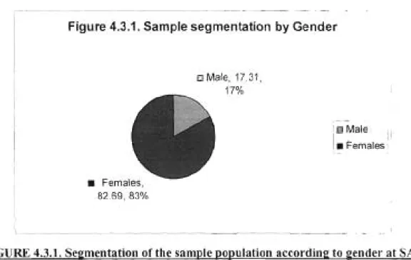 Figure 4.3.1. Sample segmentation by Gender